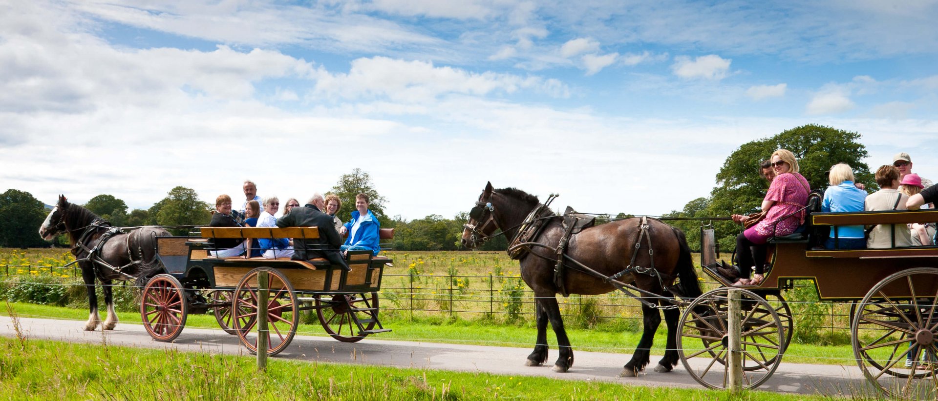 Two carriages with horses, drivers and passengers in Killarney National Park in Ireland